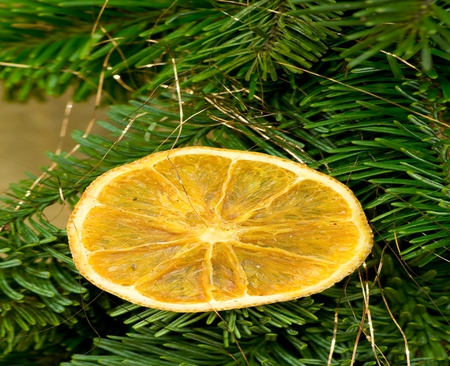 Lemon - plants, decorations