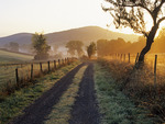 France - Road in the fields