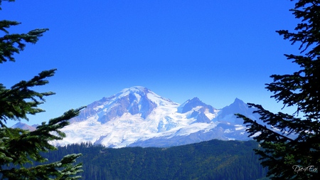 Mount Baker - widescreen, washington, mountain