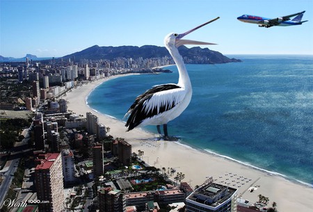 Weird Beach effect - beach, photoshop, eating, effect, airplane, bird