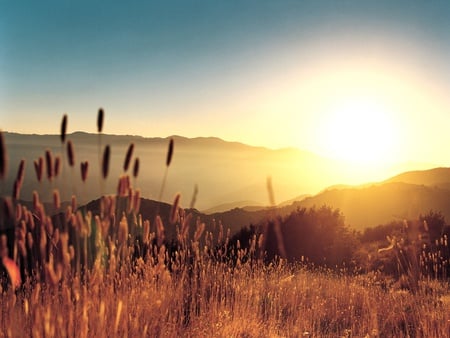 Sunset - fields, nature, wheat, grasslands, sunset, sunrise