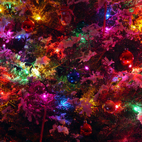 Colorful X-Mas Tree