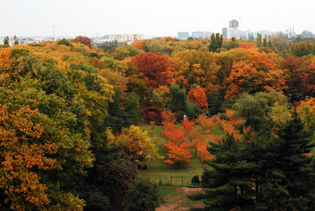 Autumn - nature, landscape, parks, field, flowers