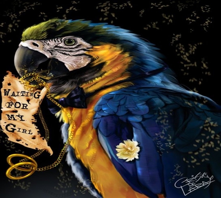 Parrot - painting, drawing