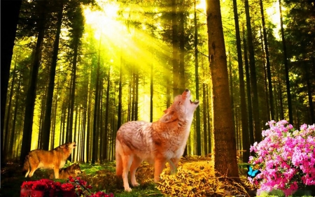 Wolfpack - predator, sunshine, trees, forest, blossoms, artwork