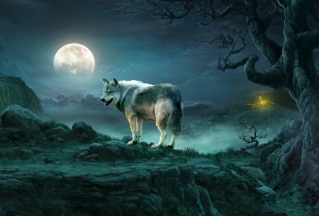 Full moon - moon, night, wolf, lonely