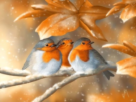 Sweet Birds - robin, birds, winter, paintings, colors, holidays, fall season, leaves, autumn, love four seasons, animals