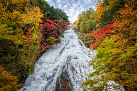 Yudaki Waterfall, Japan - colors, fall, trees, river