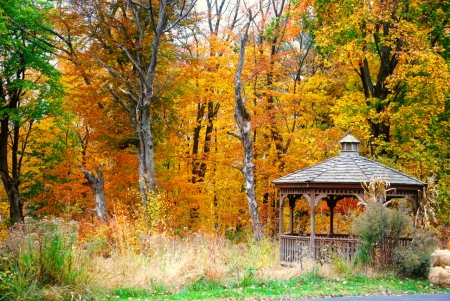 Autumn gazebo - autumn, trees, park, gazebo, serenity, foliage, fall, forest, beautiful