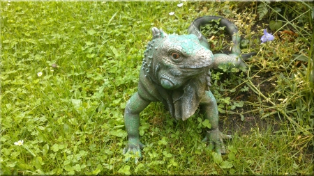 The Leguan in the Garden - predator, snapshot, figurine, comodowaran, other, nature, animal, green, leguan, grass, photo, photograph, garden, reptile, scene, waran