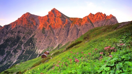 austrian alps in spring - shalets, flowers, slopes, spring, mountains, peaks