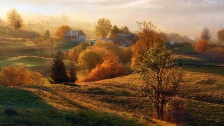 farm on a foggy fall morning - morning, farm, autumn, trees, hills, fog