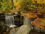 Autumn Forest Waterfall