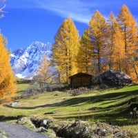 Autumn in mountains