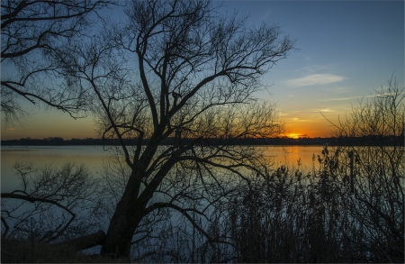 Late Autumn Sunset - sky, trees, sun, water, silent