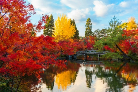 Autumn Park - autumn, trees, water, park, fall, reflection, clouds, pond, bridge