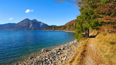 bavarian lake - trees, shore, lake, mountain, rocks