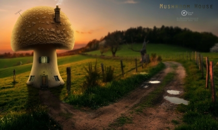 Mushroom House - mushroom, sun, photoshop, light, design, wallpaper, sunset, surreal