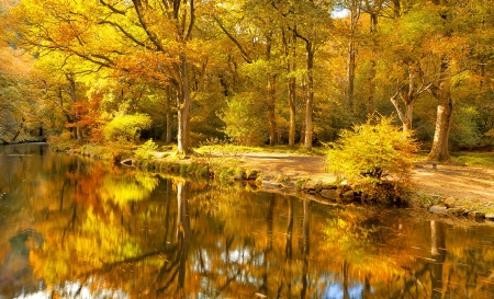 Golden autumn - lake, autumn, trees, park, sernity, foliage, calm, forest, reflection, beautiful, river, golden