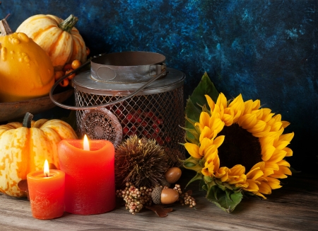 Autumn Still Life - nuts, sunflower, autumn, candle, candles, berries, still life, gourds, acorns, flame, pumpkins, fall, jar, lantern, flower