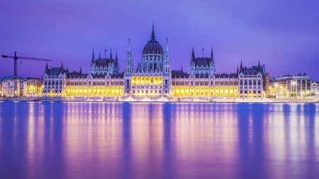 budapest parliament building in magents - lights, government, building, magenta, river, night