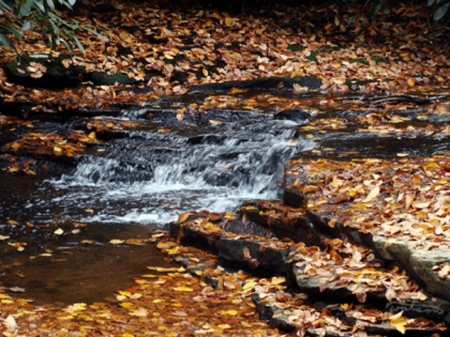 Fall leaves brook - fall, nature, brook, leaves