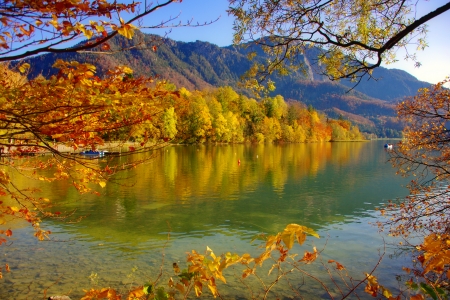 Autumn lake - branches, autumn, lake, mountain, trees, foliage, serenity, fall, forest, reflection, beautiful, river