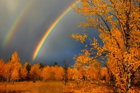 Autumn rainbow - autumn, sky, trees, foliage, storm, purple, fall, green, rainbows, orange, two, rainbow, forest, beautiful, red, blue, leaves, colors