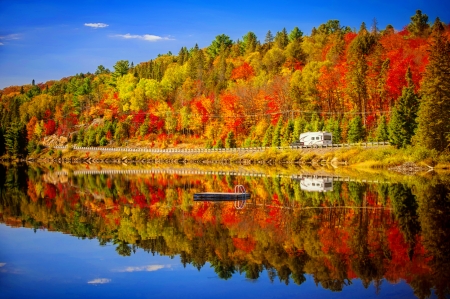 Reflections of colorful autumn forest - autumn, lake, sky, colorful, shore, serenity, reflections, fall, forest, calmness, tranquil, mirror, beautiful