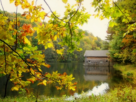 Forest lake in autumn - hut, branches, autumn, lake, trees, foliage, serenity, fall, forest, reflection, beautiful, leaves, cabin, pond