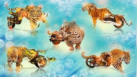 Turbo Cat - leopards, animals, motorbikes, cat, tigers, wheels, collage, cheetahs