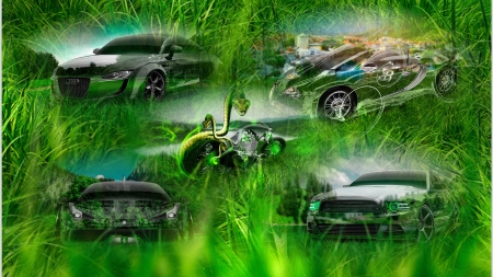 Hidden - motorbikes, animals, collage, cars