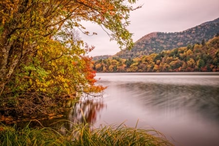 Autumn - autumn, lake, colorful, serenity, fall, calmness, forest, tranquil, beautiful