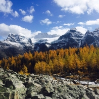 Banff national park