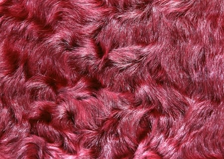 Pink fur - fur, texture, pink, skin