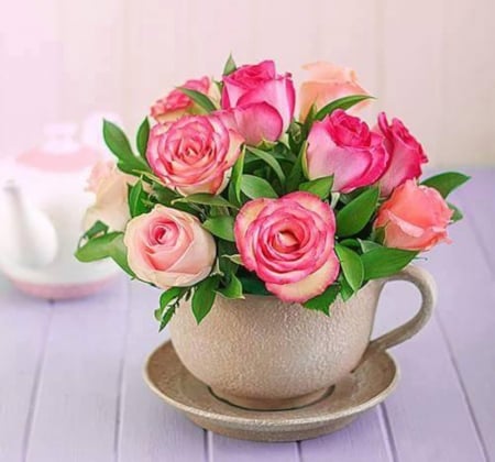 A Cup of Roses - still life, roses, pink, cup