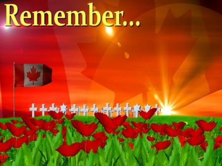 THANK YOU - crosses, poppies, field, canada, flag