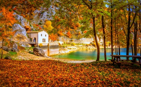 Lake Cottage - trees, Alps, beautiful, path, fall leaves, autumn, Italy, turquoise water, lake beach, bench, lake, mountains, cottage