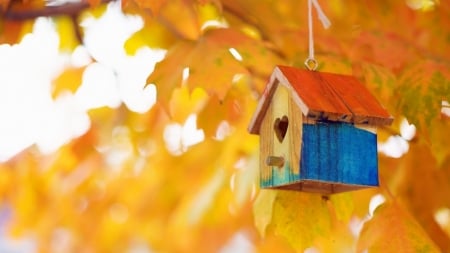 Birdhouse - nature, autumn, home, photography, house, birdhouse