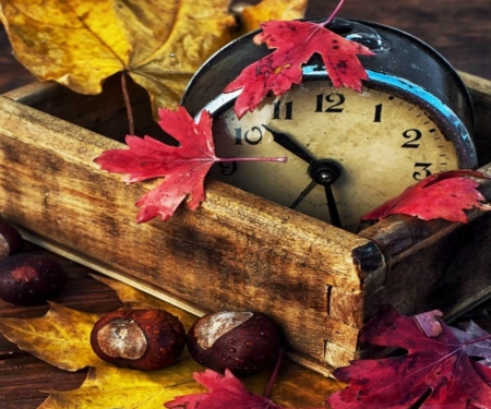 Autumn time - fall, clock, season, leaves