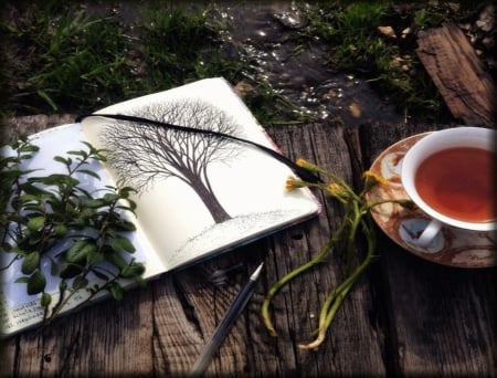 *moments* - table, water, book, herbs