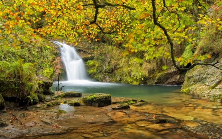 Autumn waterfall - branches, autumn, trees, waterfall, serenity, foliage, fall, forest, beautiful