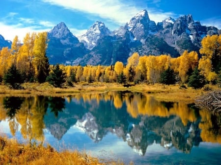 Reflecting Autumn Lake - lake, forest, reflection, trees, nature, mountain, autumn