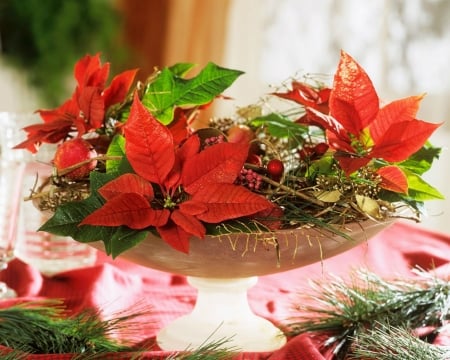 Poinsettia - flowers, poinsettia, decor, christmas