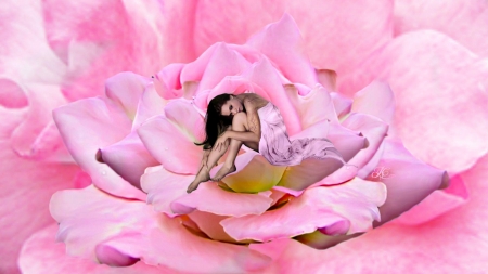 Girl in Rose - woman, female, girl, photography, rose, fantasy, art, pink, jcart, digital