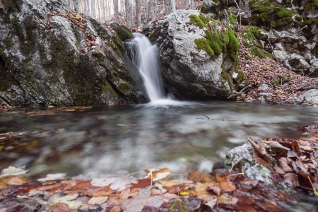 Waterfall - fall, autumn, beautiful, leaves, waterfall