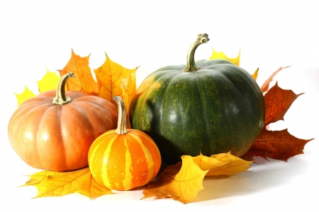 Autumn Still Life - Autumn, pumpkins, Fall, leaves