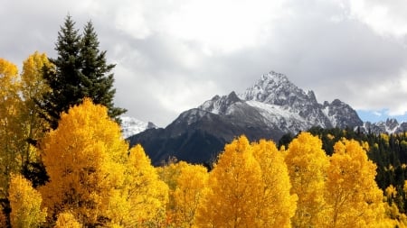 Snowy peaks - autumn, trees, hills, landscape, mountains, wallpaper, peaks, hd, nature, fall, forest, scene