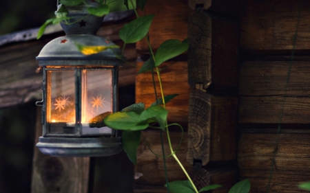 ღ⊰♥⊱ღ - flashlight, mood, fire, light, lantern, leaves