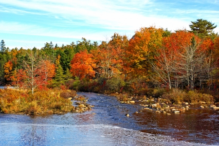 Indian Summer in New Brunswick - fall, trees, forest, river, leaves, colors